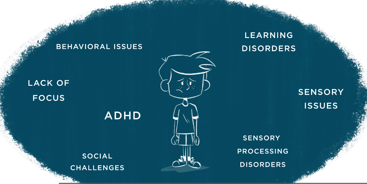 How Does The Brain Balance Program Work - Premium Mountain Art Gallery - High Resolution